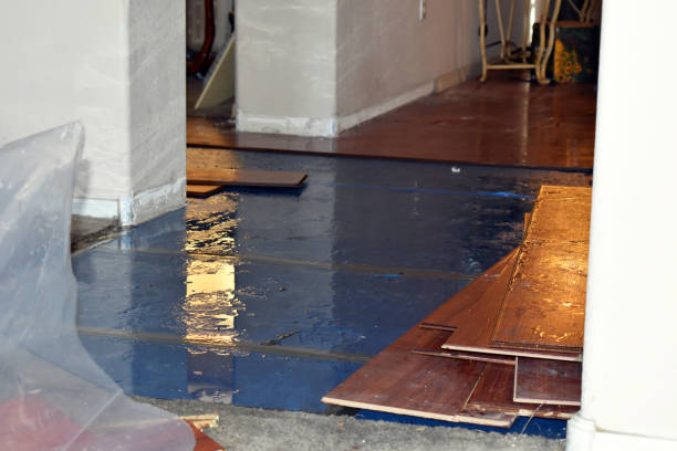 Professional Water Damage Repair technician working in Flagtown, NJ